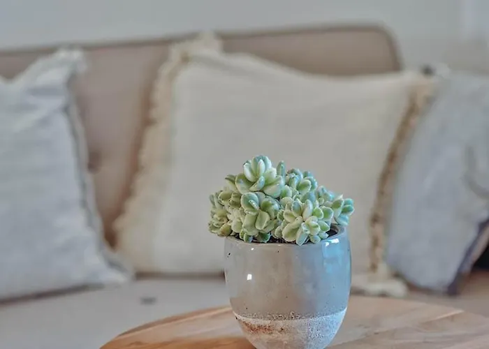 Semesterbostad Agapi's Antiparos